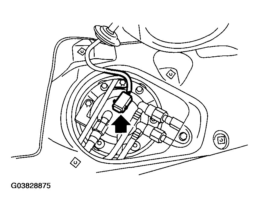 G03828875