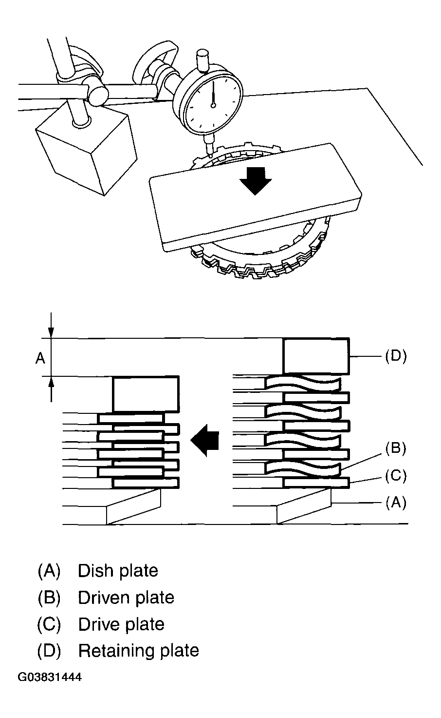 G03831444