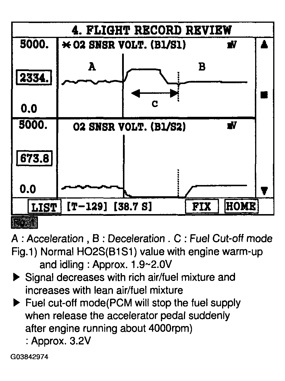 G03842974