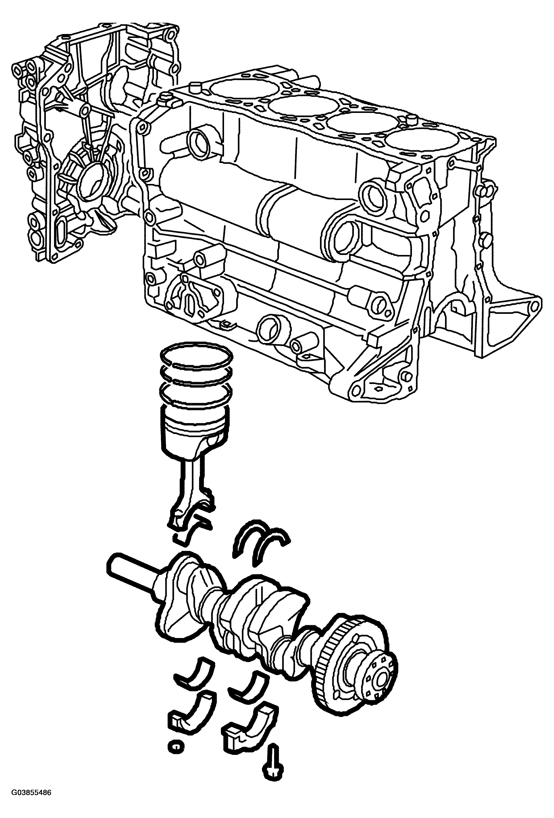 G03855486