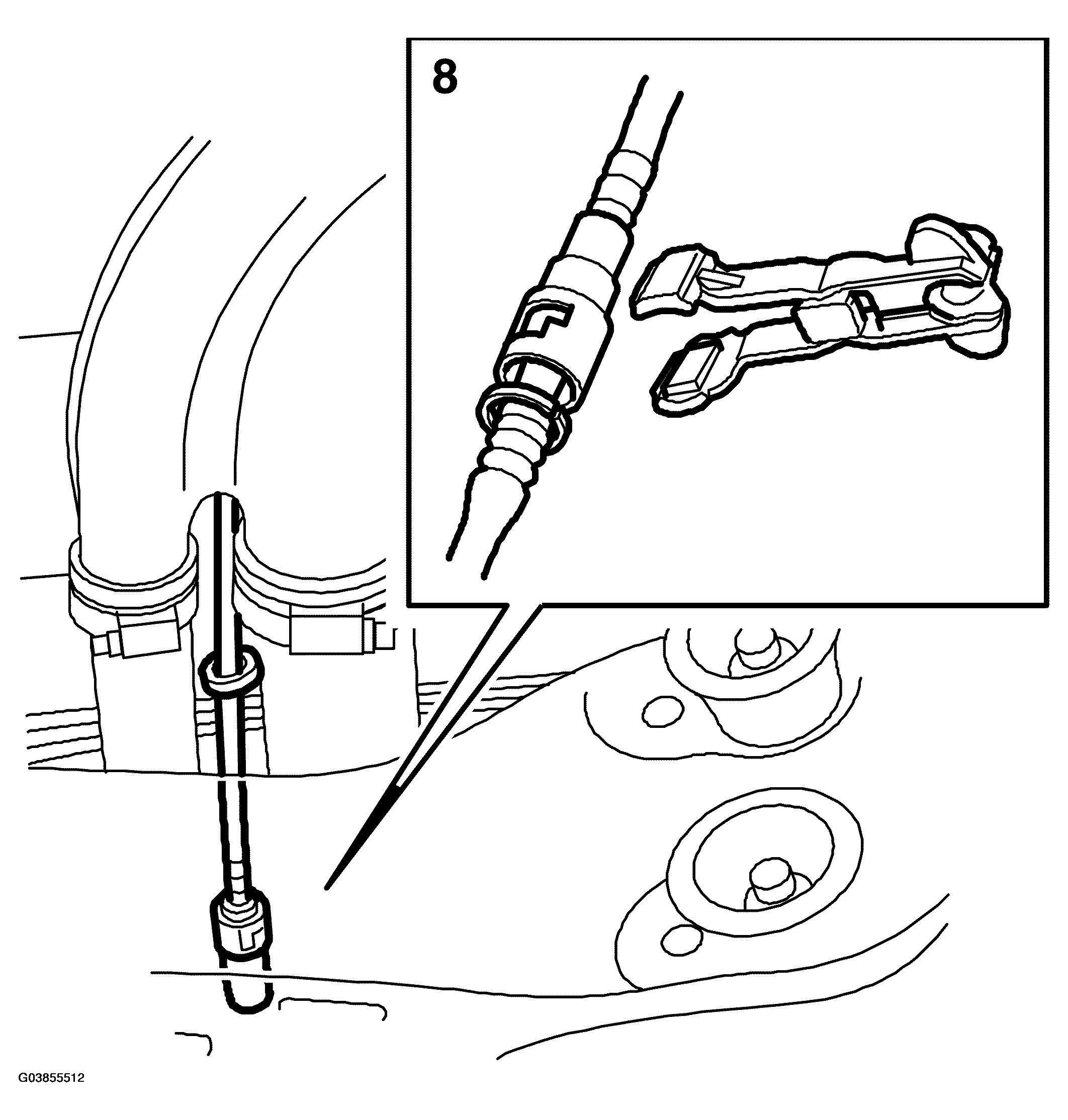 G03855512