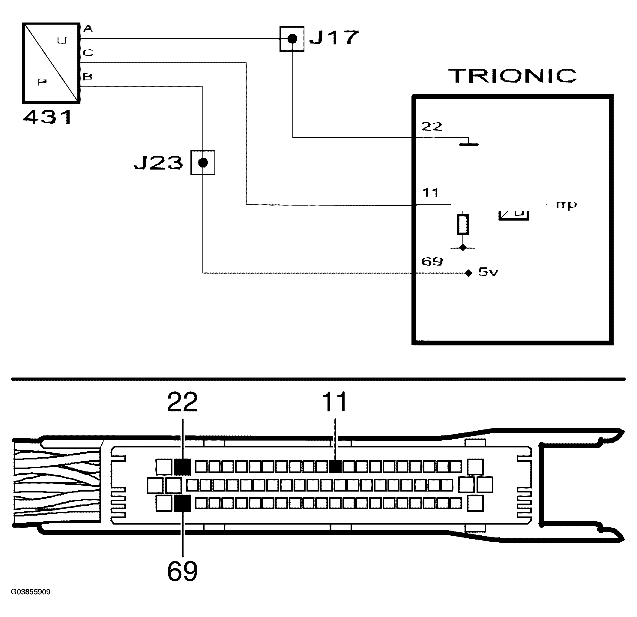 G03855909
