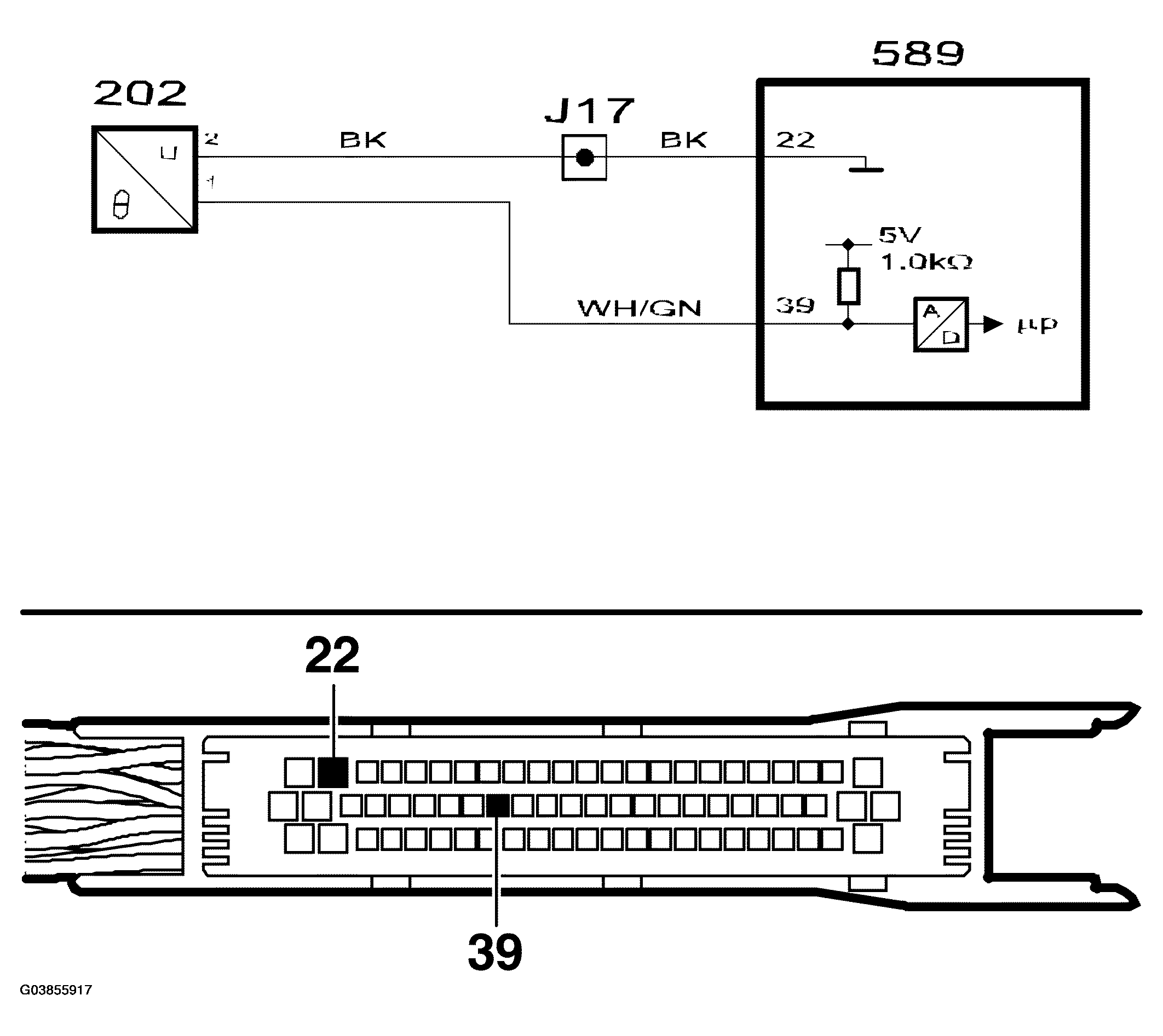 G03855917