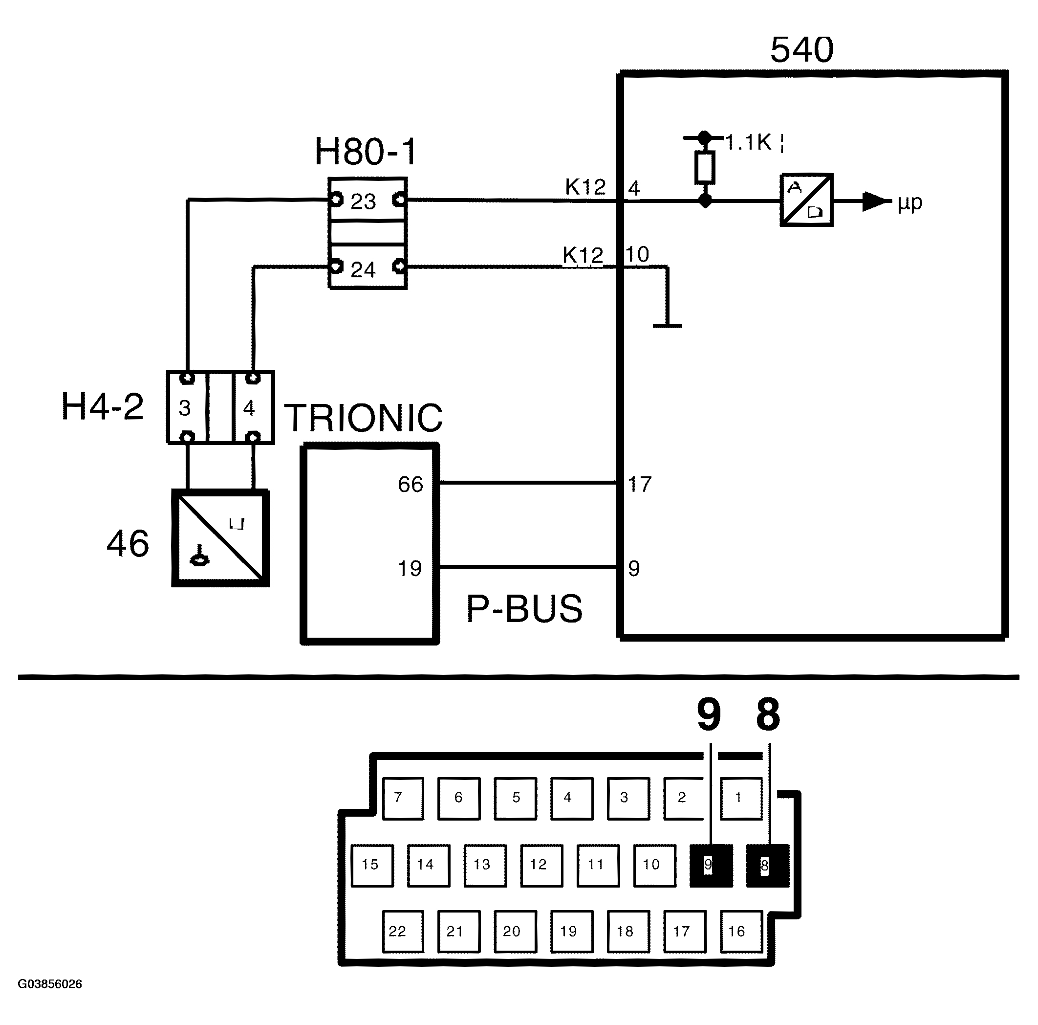 G03856026