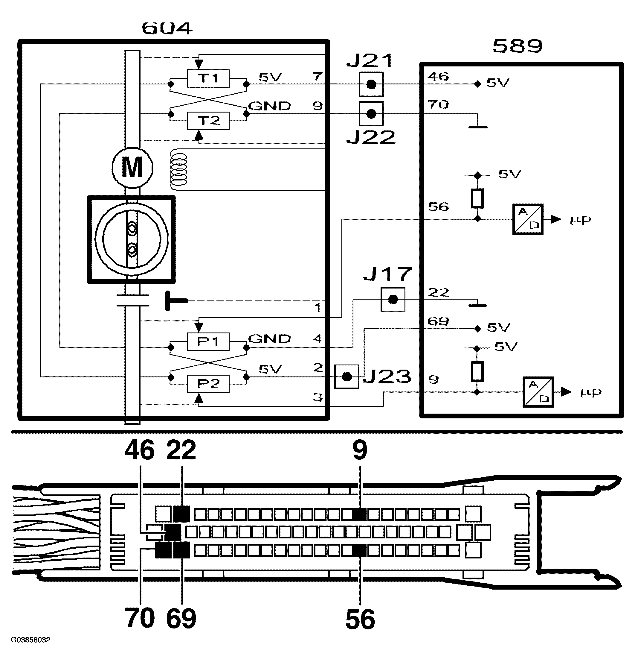 G03856032