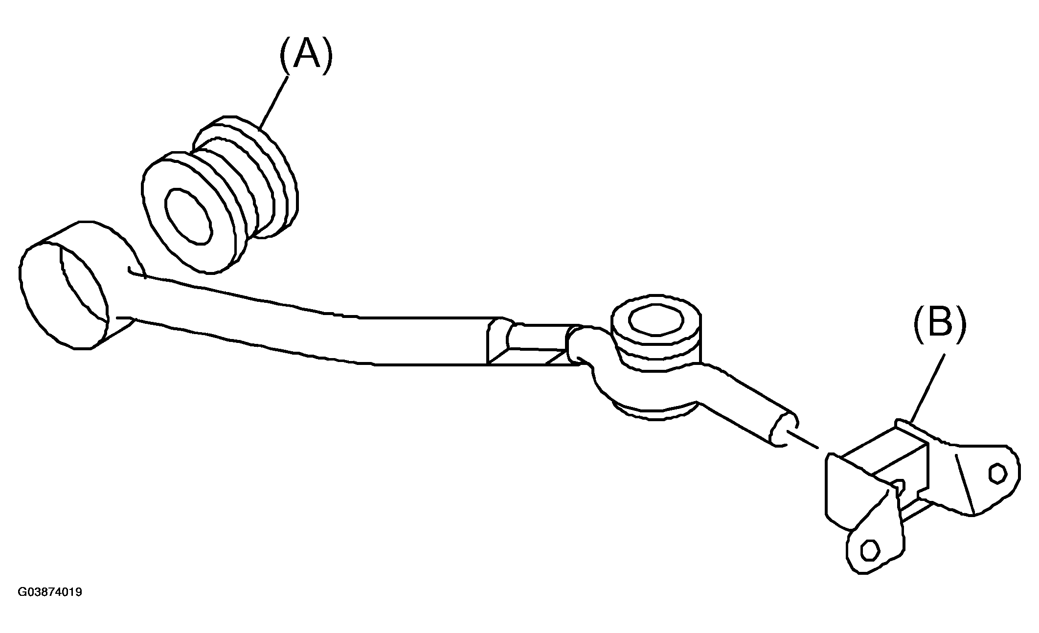G03874019