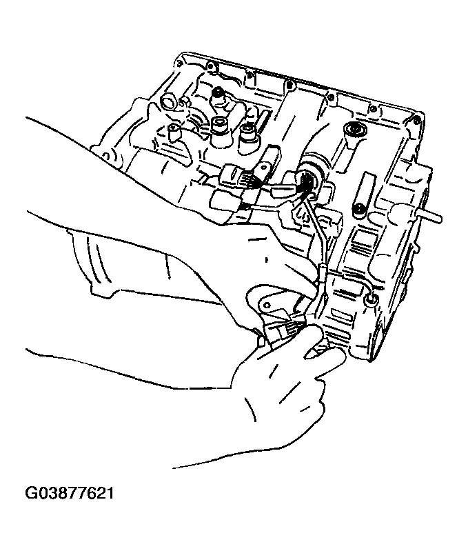 G03877621