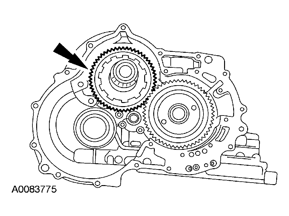 G03951429