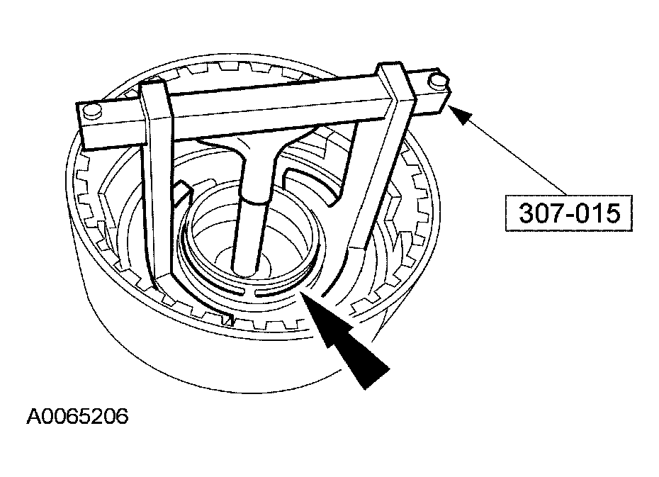 G03951501