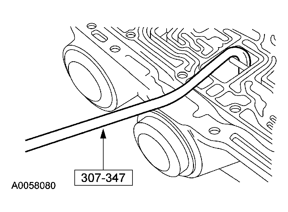 G03975206