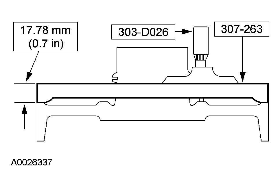 G03975481