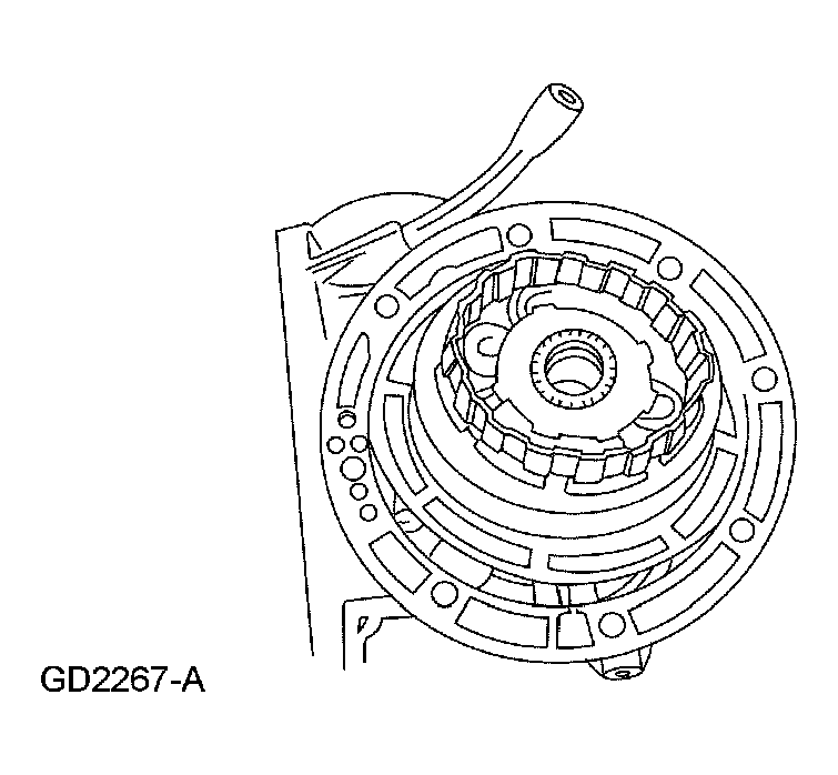 G03975493
