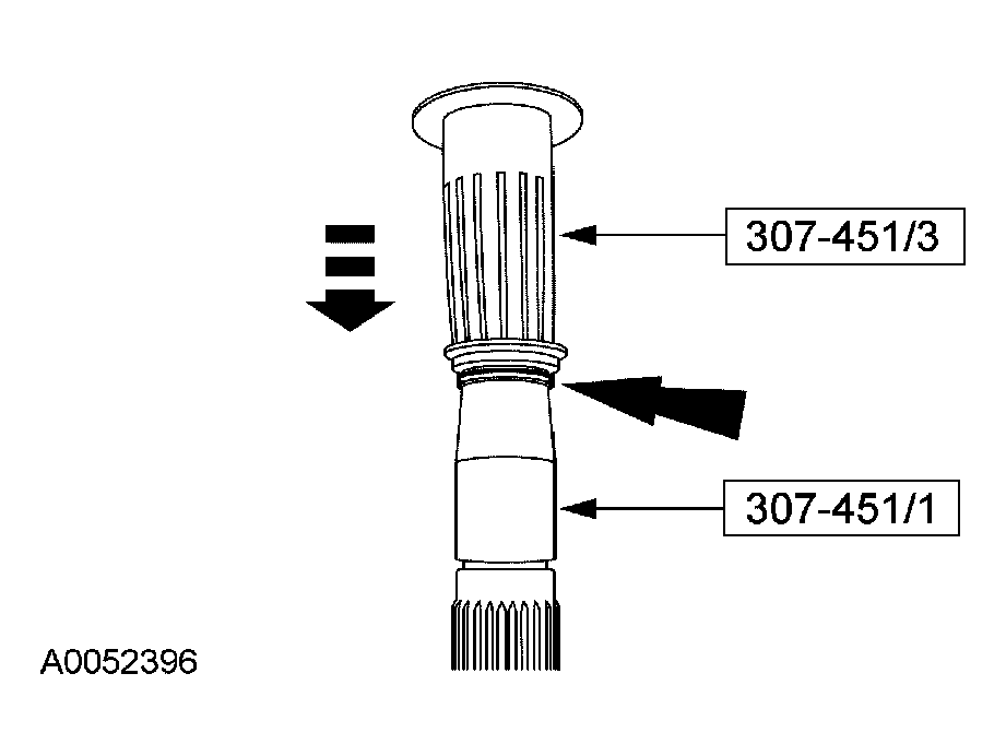 G03975517