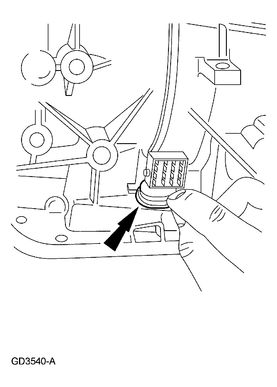 G03975537