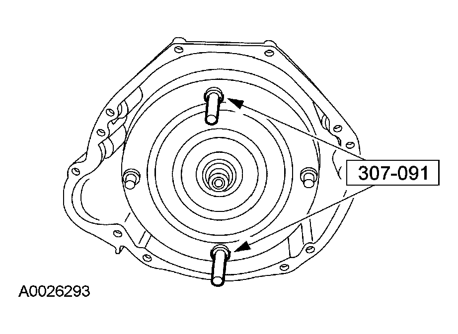 G03975575