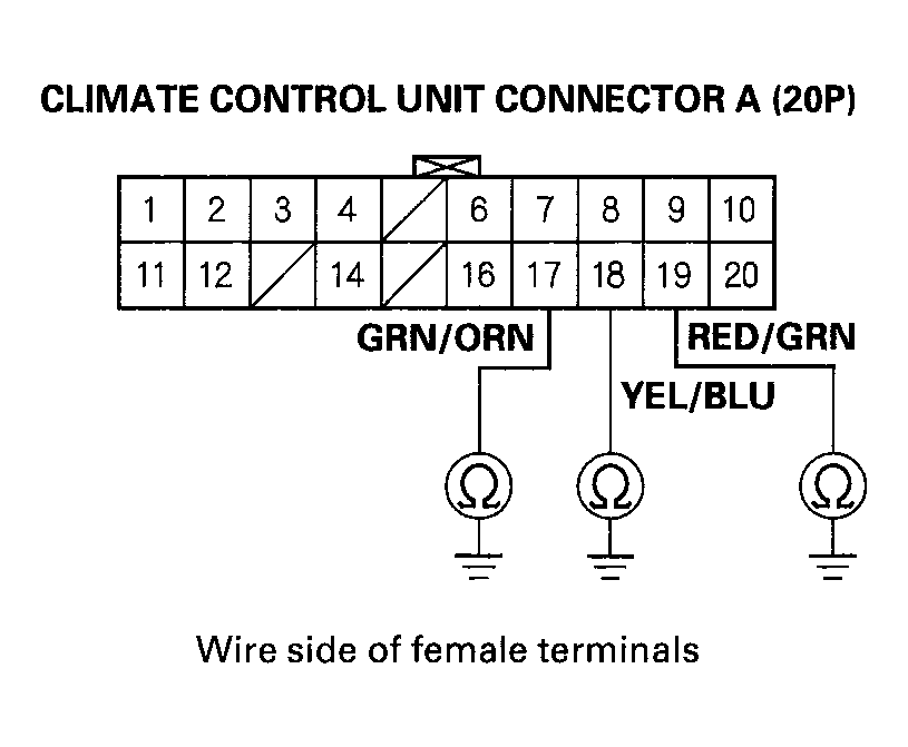 G04246981