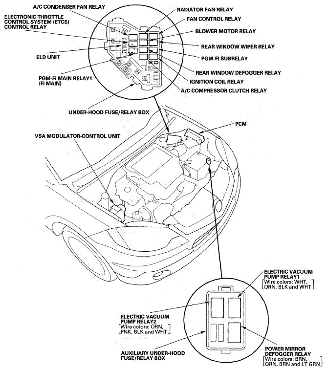 G05446348