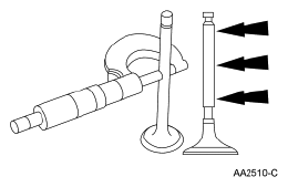 G06064097