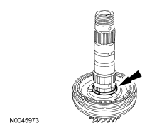 G06275961