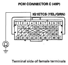 G06425253