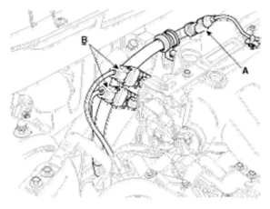 G06856629