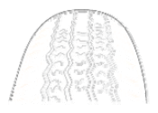 G08328423