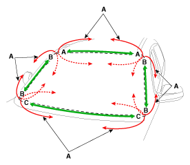 G10612786