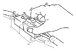 G10915450