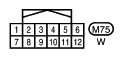 G10941509
