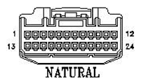 G11053825