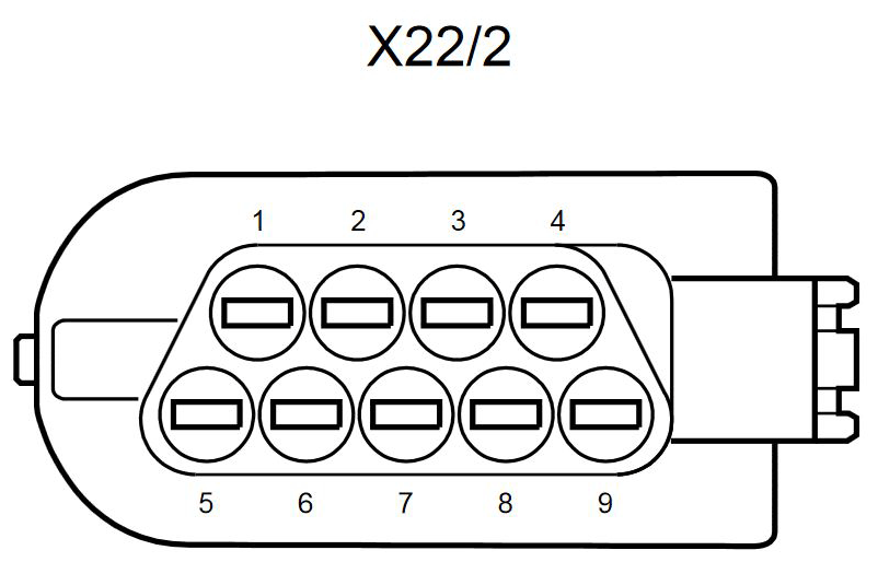 G11064613