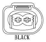 G11067869