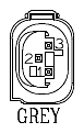 G11067900