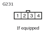 G11135360