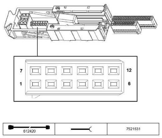 G11197398
