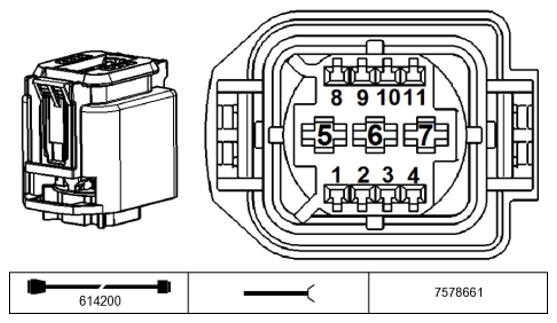G11234425