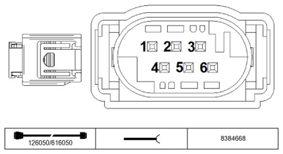 G11234494
