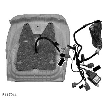 G11289094