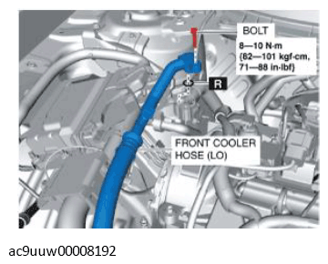 G11433583