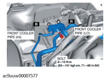 G11433596