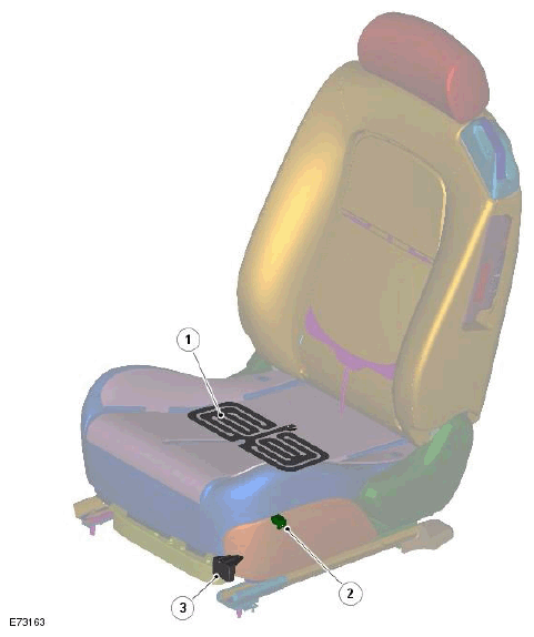 G11549312
