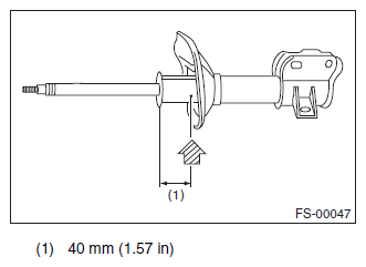 G11569234