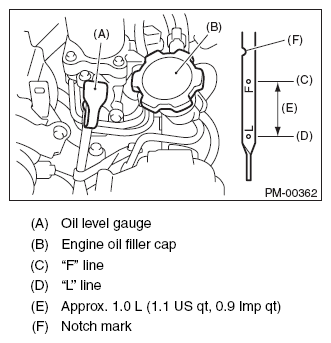 G11573993