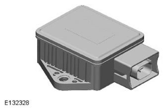 G11597358
