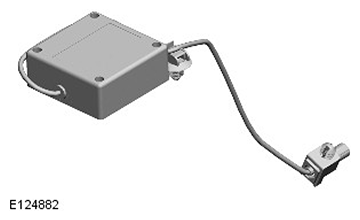 G11599266