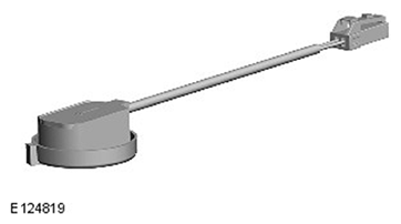 G11599267