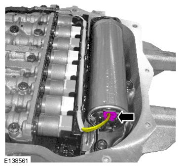 G11599721