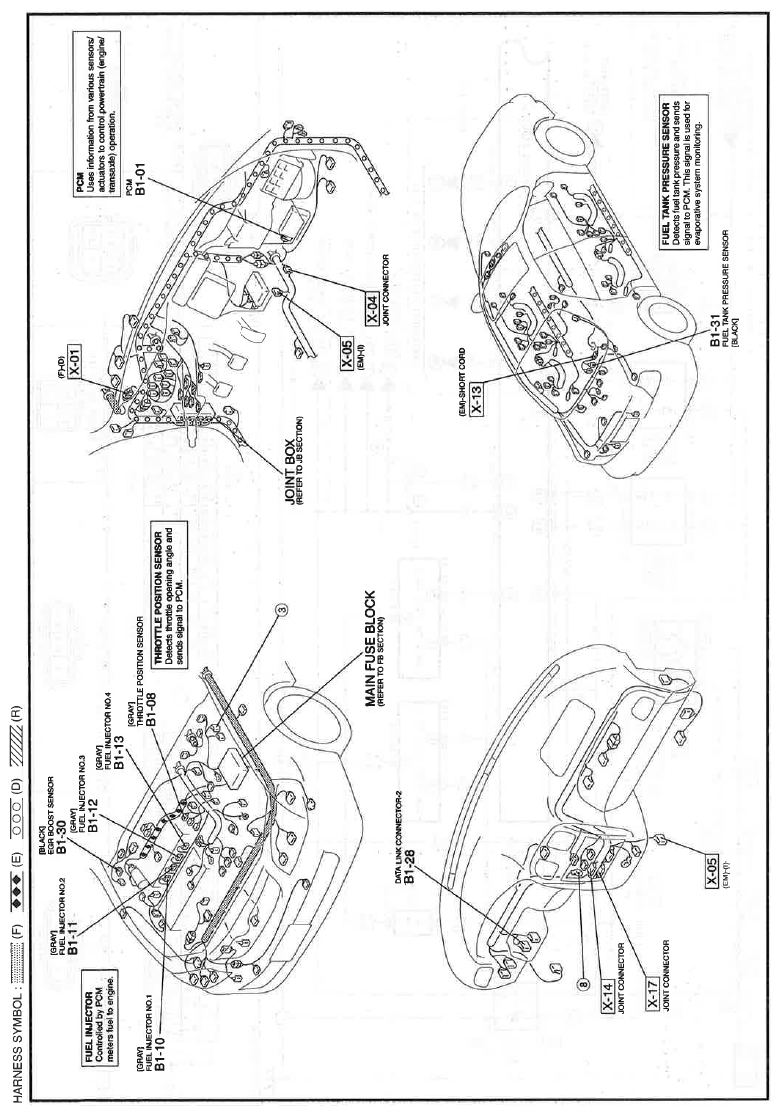 G11611124