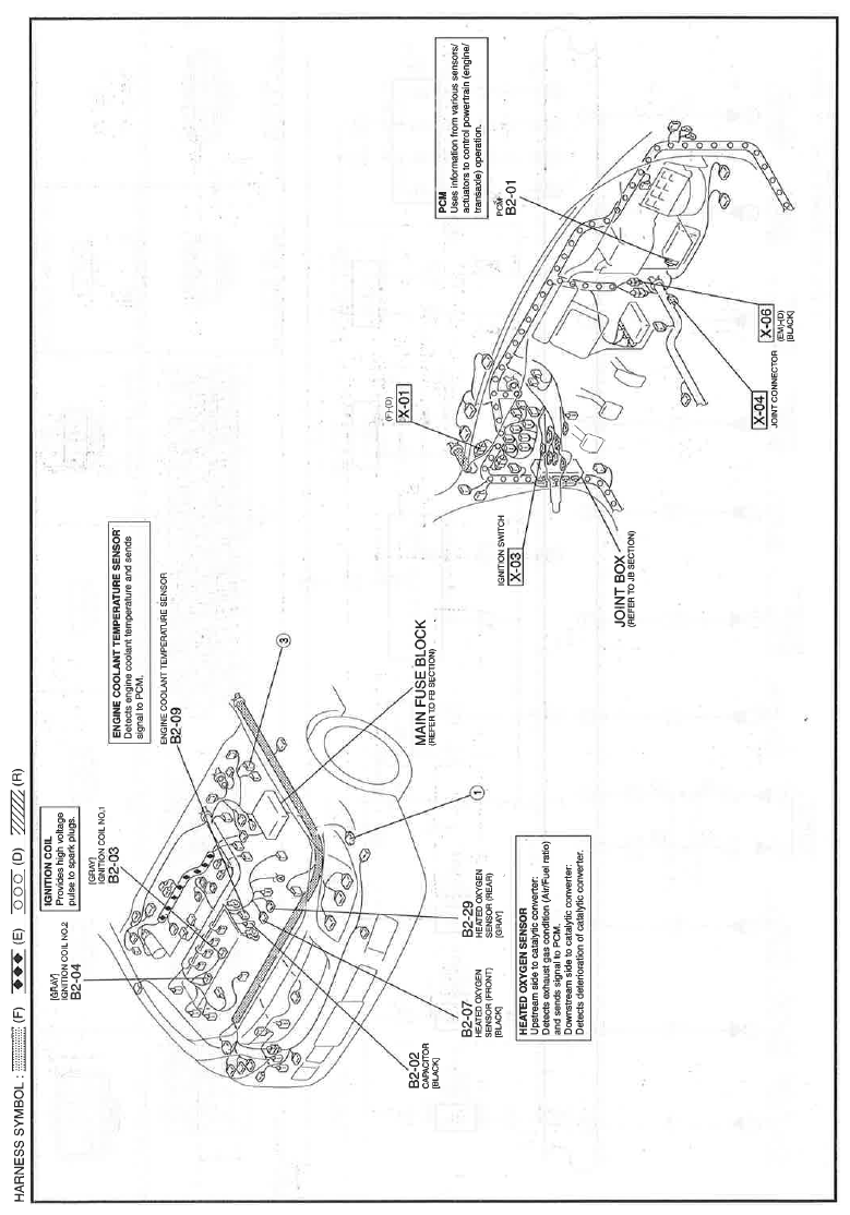 G11611126