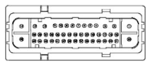 G11680099